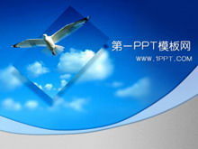 Download template PPT latar belakang burung camar terbang