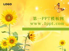 Unduh template PPT terbang kupu-kupu bunga matahari