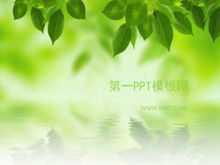 Descărcare elegantă a șablonului PPT frunze coreene