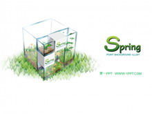 Fresh and elegant spring plant PPT template