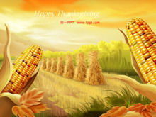Autumn corn harvest slide template download