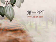 Unduhan template PPT latar belakang daun