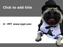 Cute puppy art PPT template download