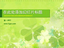 Fresh and elegant clover plant slideshow template