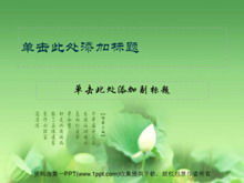 Elegant lotus PPT template download