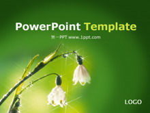 Download template PPT latar belakang bunga tanaman hijau