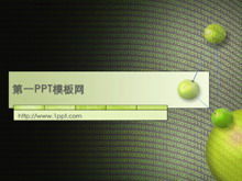 Download del modello PPT della tecnologia di rete digitale