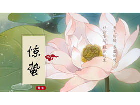 Modello PPT di introduzione del termine solare Jingzhe di sfondo meticoloso di loto