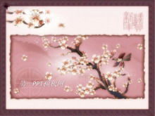 Elegante Pflaumenblüte Hintergrund Frühlingsfest Neujahr PPT Vorlage herunterladen
