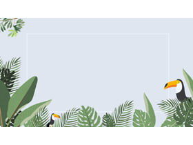 四个卡通巨嘴鸟阔叶植物叶子PPT背景图片