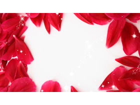 紅色的玫瑰花瓣PPT背景圖片