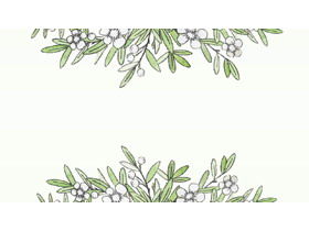Dört suluboya yeşil yaprak ve beyaz çiçek bitkileri PPT arka plan resimleri
