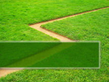 Modello di sfondo PPT pianta di erba verde Green