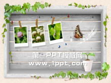 Télécharger l'image d'arrière-plan PPT de papillon de vigne