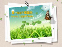 Modèle de fond de diapositive d'herbe verte papillonv