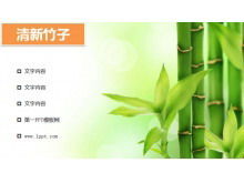 Свежий светло-зеленый бамбук PPT скачать фоновое изображение