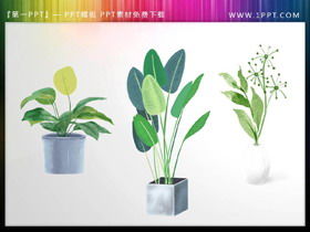 三種綠色水彩盆景植物PPT素材