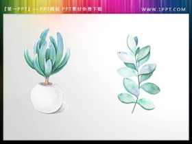 Succulents bonsai and green leaves PPT material