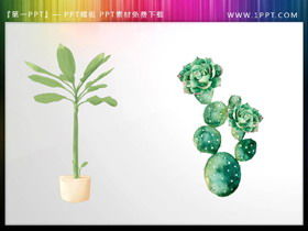 Green watercolor bonsai and cactus PPT material