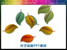 Dynamic leaves falling PowerPoint animation material download
