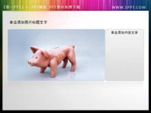 Piggy piggy bank PPT vignette