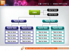 Краткая организационная структура компании Материал диаграммы PPT