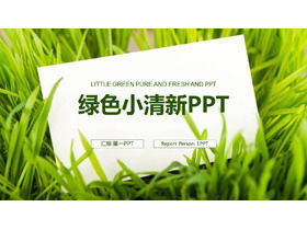 Fresh work plan PPT template on green grass white card background