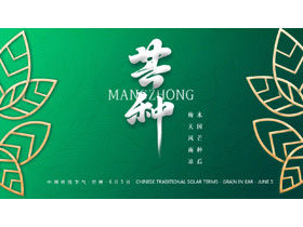 Green and exquisite new Chinese mango kind of solar terms PPT template