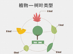 植物要素の11のフラットカラーpptチャート