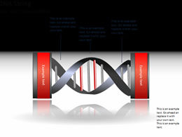 DNA 분자 사슬 구조 다이어그램 ppt 차트