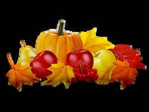 Turkey Pumpkin Scarecrow Thanksgiving Free Photo Pack Download (17 photos)
