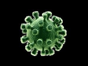 Imágenes png libres de coronavirus (8 fotos)