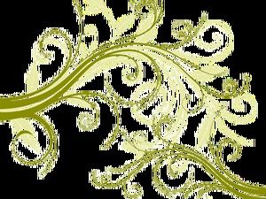 植物藤蔓花边线花卷曲图案免费背景透明png素材