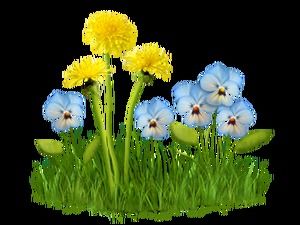 120잔디 잔디 식물 꽃 배경 투명 png 이미지 소재 다운로드(아래)