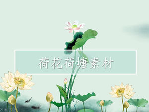 Chiński wiatr lotosu lotos liść lotosu staw ppt materiał Daquan do pobrania