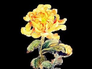 Chrysantheme, Kranich, doppeltes neuntes Festival png-Bildmaterial