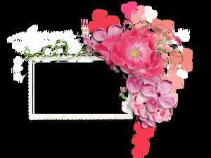 60 exquisite flower garland decoration beautiful photo frame png picture material (part 2)