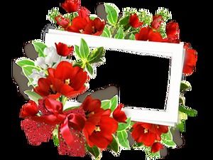 60 exquisite flower garland decoration beautiful photo frame png picture material (on)