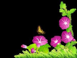 花のつるコーナーデコレーションpng画像素材（60枚）