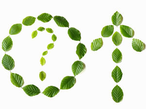 녹색 잎 창의 기호 환경 보호 시리즈 ppt 이미지 소재