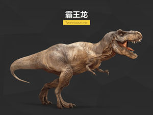 Dinosaur Illustrated ppt material-material esențial ppt după vizionarea „Jurassic World” (Jurassic World)