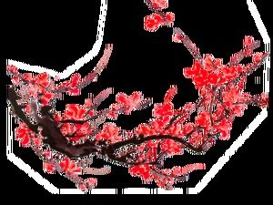 18 tinta plum blossom png gambar bahan latar belakang transparan