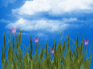 Background transparent green grass white cloud png material
