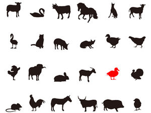 ppt draw a variety of animal clipart ppt material (hollow animals)