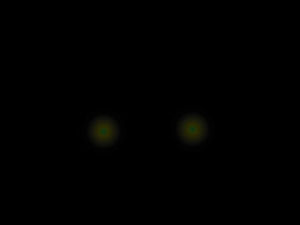 Gece gökyüzünde beliren ateşböceklerinin ışığı ppt özel efekt şablonu