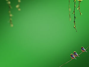 Birds playing on the dangling branches ppt animation special effects