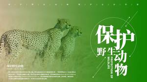 Protection of wild animals ppt template