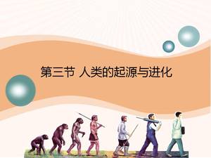 Version de l'Université normale de Pékin de l'origine du didacticiel ppt sur l'évolution humaine