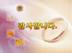 韩国珠宝首饰幻灯片背景