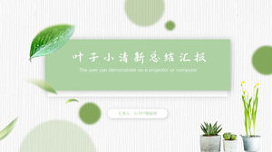 Leaf small fresh summary report business general ppt template